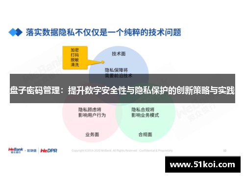 盘子密码管理：提升数字安全性与隐私保护的创新策略与实践